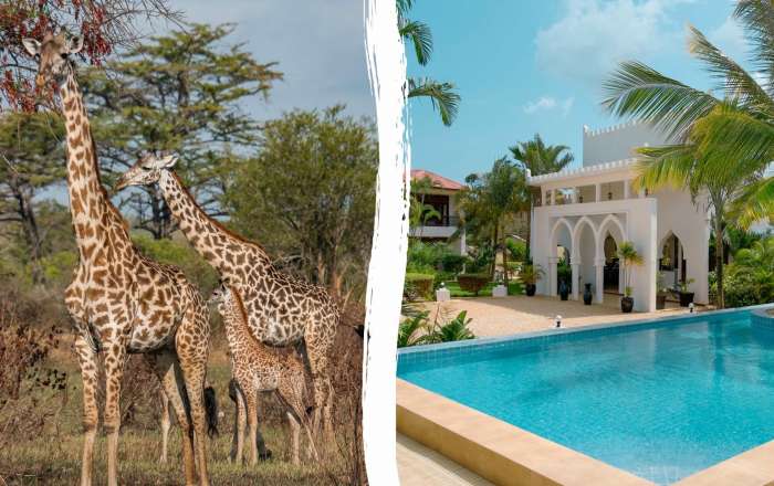 Tanzania Safari & AHG Hisia Nungwi Experience Hotel