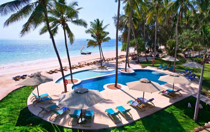 Palm-Fringed Infinity Pool