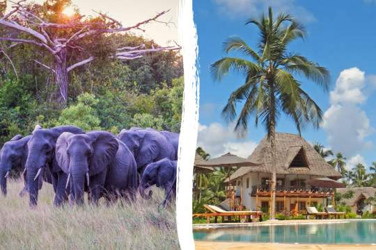 Main image of the hotel Tanzania Safari + Pongwe Bay Resort.