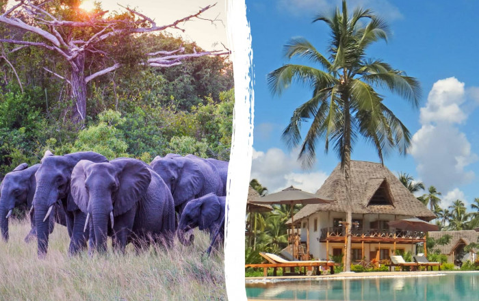 Main image for the offer: An Unforgettable Escape: Safari Adventure & 5* Zanzibar Luxury - With Free Upgrade and Exclusive Extras.