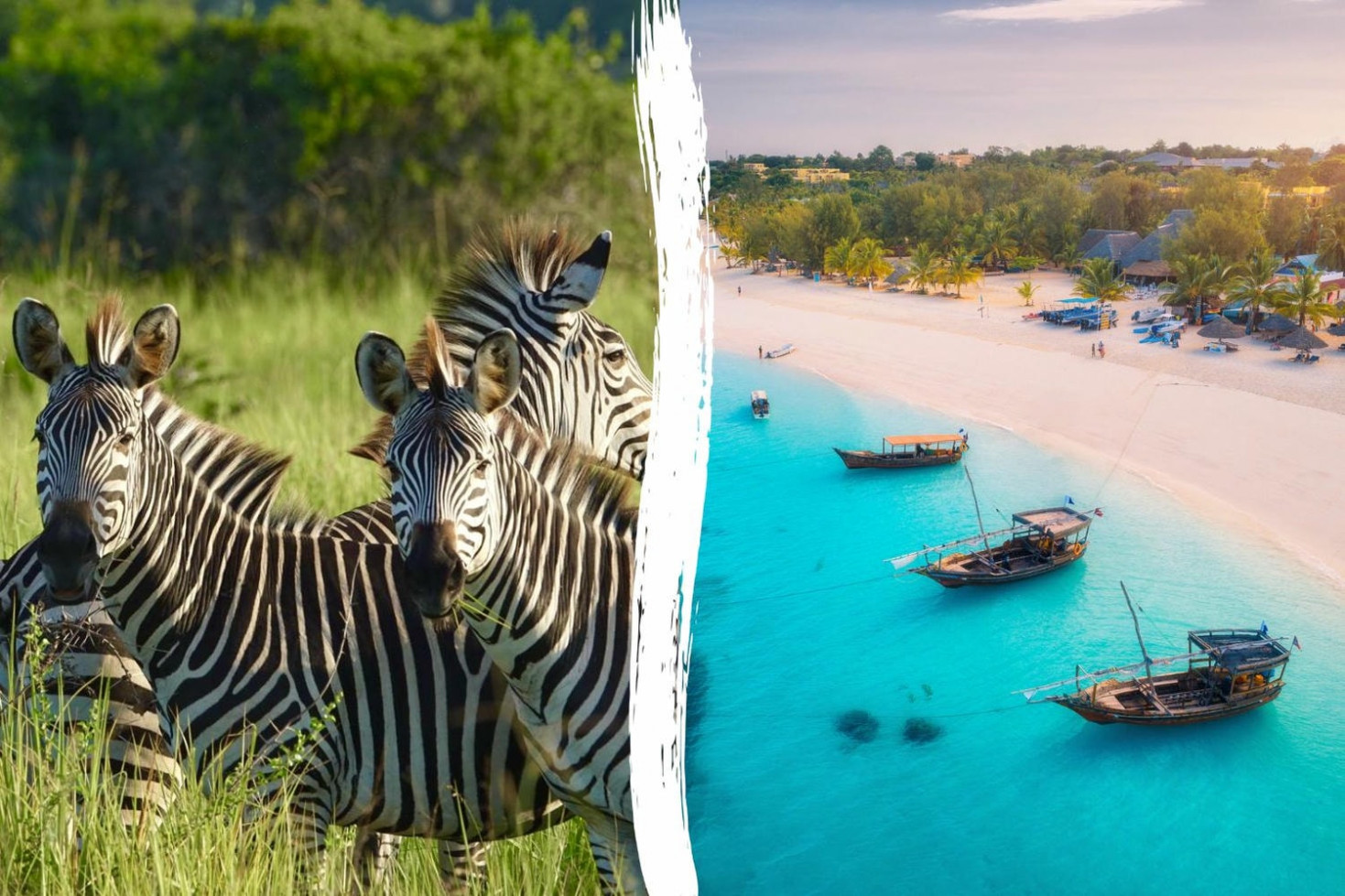 Tanzania Safari & AHG Hotel Zanzibar Roulette