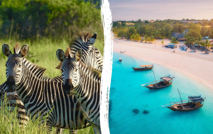 Main image for the offer: From Game Drives to Golden Sands: Tanzania Safari & Mystery Zanzibar Stay.