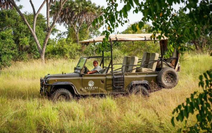 Saadani Safari
