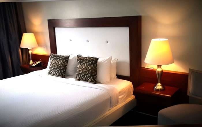 Thumbnail for image 3