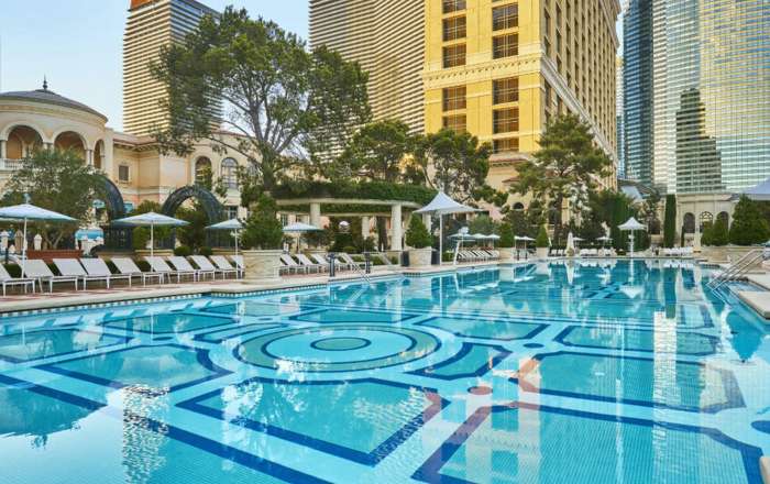 Take a Dip in the Expansive Pool