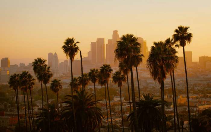  Los Angeles Skyline