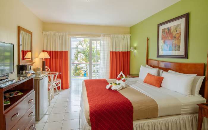 Deluxe Pool View Room