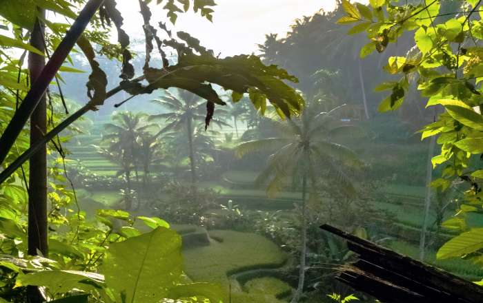 Thumbnail for image 1