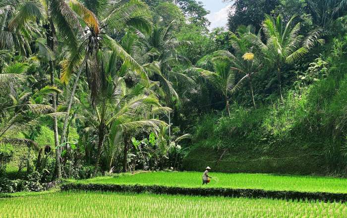 Thumbnail for image 3