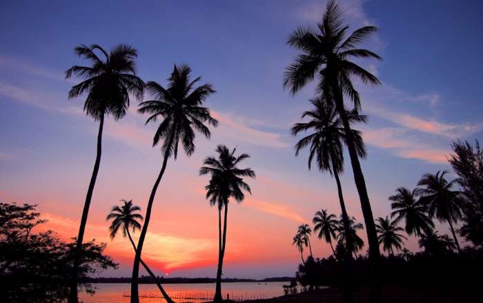 Beautiful Beach Views