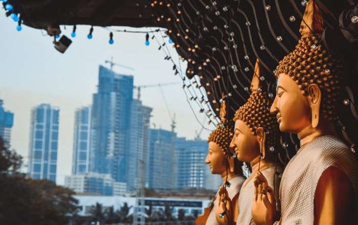 Explore the Cityscapes