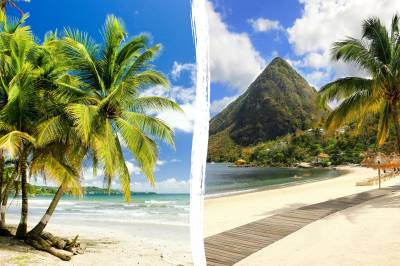 Signature image of 7nts Bay Gardens Marina Haven + 7nts Magdalena Grand Beach & Golf Resort.