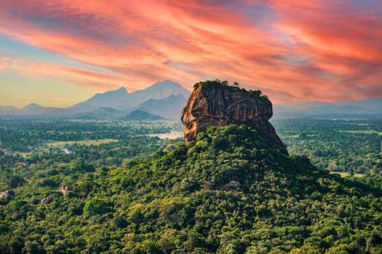 Main image of the hotel 5nts Sri Lanka Tour + 7nts Sheraton Kosgoda Turtle Beach Resort.