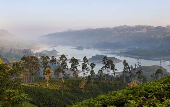 Mist covered Sri Lankan hills