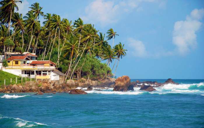 Experience the Best of Sri Lanka