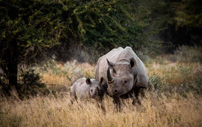 Thumbnail for image 2