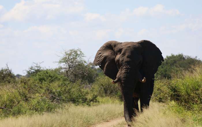 Thumbnail for image 3