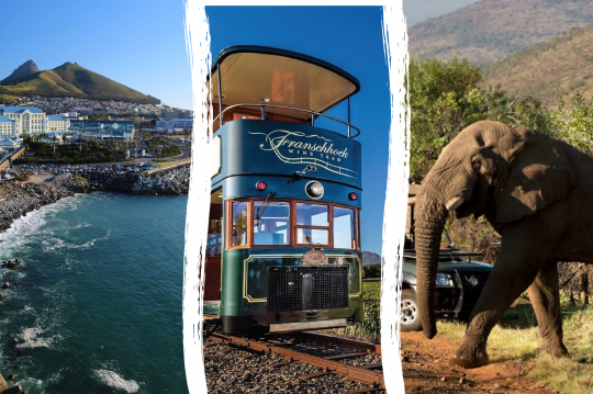 Main image of the hotel City, Vineyards & Safari.